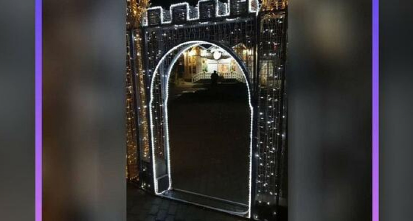 "Резко и громко заскулила": на Бригантине новогодние ворота ударили собаку током