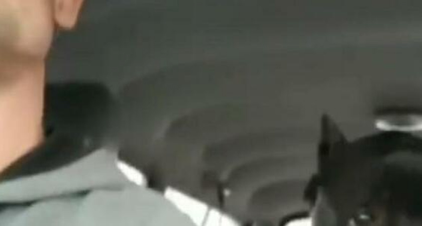 Новороссийский дрессировщик спел со своим псом новогоднюю песню