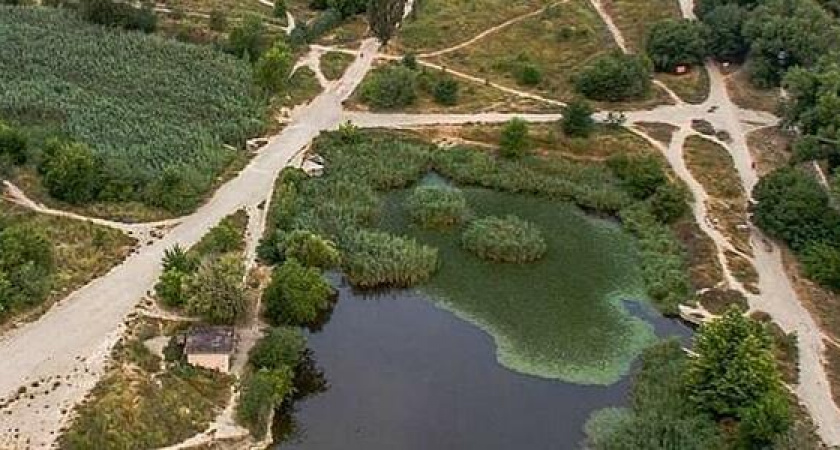 "От таких видов птички впадают в депрессию": жители Новороссийска обсуждают перспективы благоустройства Южного парка