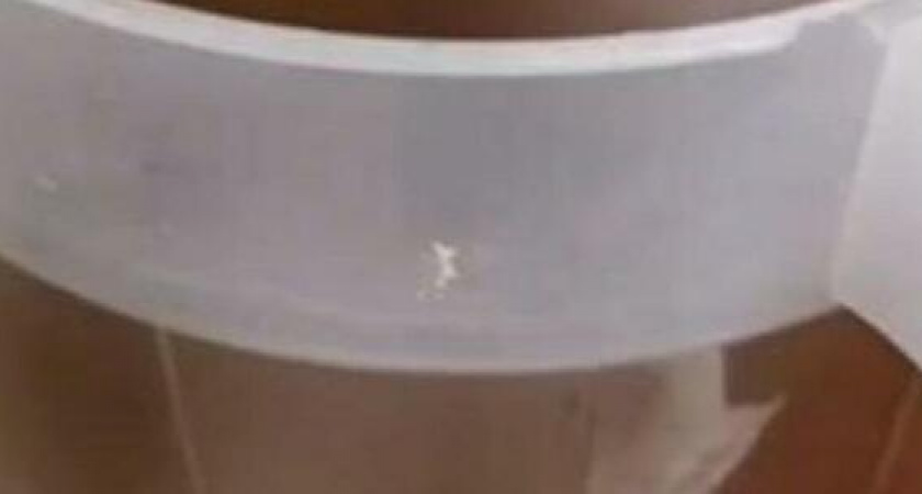 "Продолжается подача ужасной воды в наши дома! ": жительница Новороссийска потребовала объяснений у Водоканала, но не услышала ничего нового