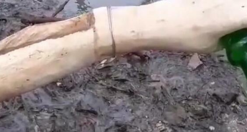 Известный новороссийский мастер установил необычный деревянный фонтан в Пионерской роще