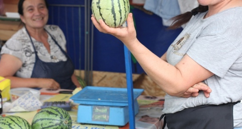 «Шампань», «Каристан» и «Подарок солнца» : 5 необычных сортов арбузов, которые продают на рынках Новороссийска