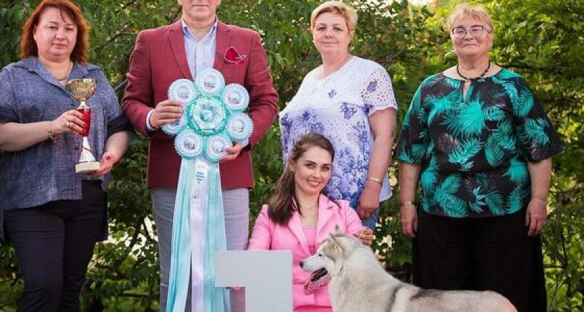 Грандиозное шоу и парад чемпионов: фестиваль Dog Picnic в Абрау-Дюрсо