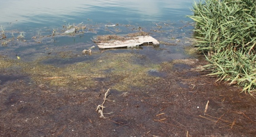 Специалисты приступили к расчету ущерба, причиненного новороссийскому памятнику природы «Суджукская лагуна» в результате прорыва канализации
