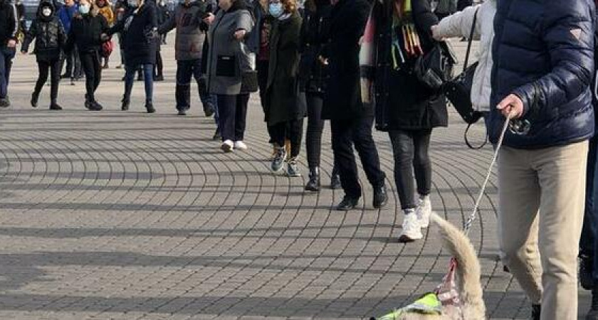 На митинге в Новороссийске толпа взялась за руки и скандирует "Свободу России!"