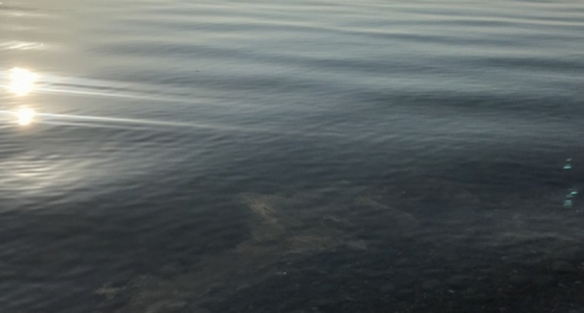 Море на «Нептуне» в Новороссийске покрылось пятнами грязи