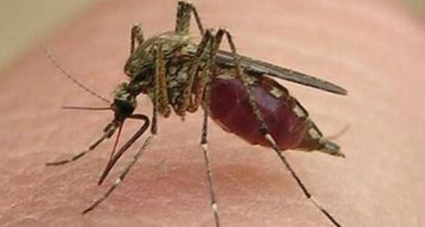 Очень сильный дождь, переходящий в снег, ожидается на Кубани. МЧС объявило экстренное предупреждение