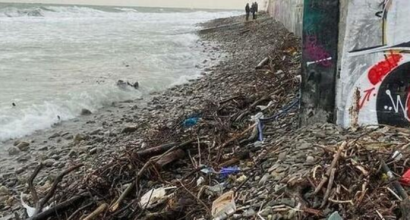 "Уберите уже труп дельфина": администрация Мысхако не спешит наводить порядок на берегу