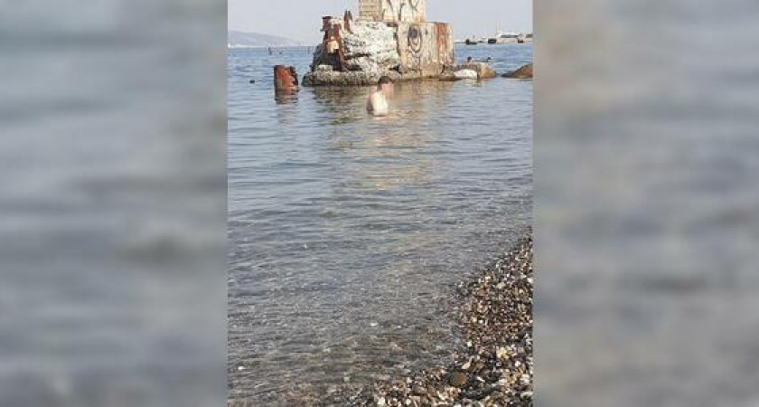 В Новороссийске на одном из пляжей мужчина приставал к детям и копался в чужих вещах