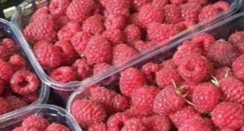 "Я лучше мяса куплю!" Новороссийцев возмутила баснословная цена на свежую малину