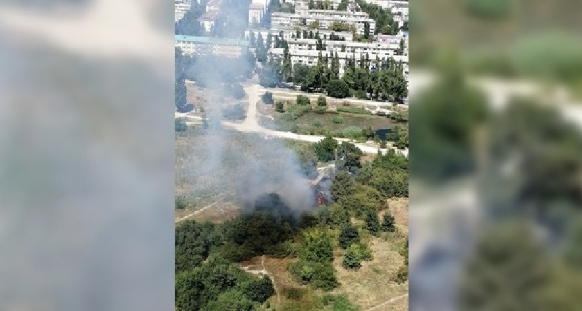 Вчера на территории новороссийской ООПТ «Южные пруды» вспыхнул пожар