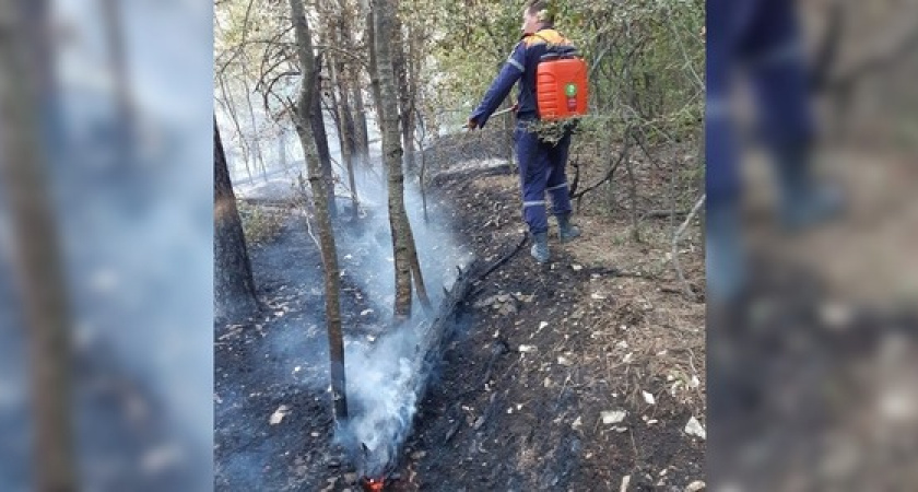 Пожарные и спасатели тушили пожар под Новороссийском на склоне горы