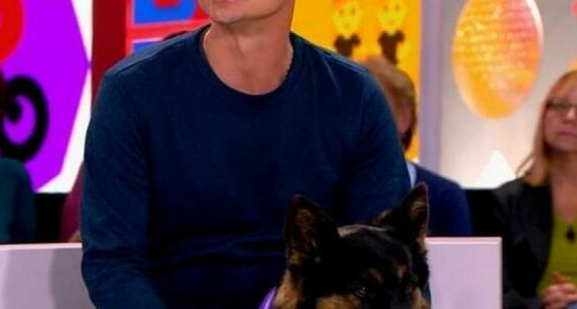 Историю новороссийского сап-серфера, который выходит в море с собакой, показали в программе "Видели видео?" на Первом канале