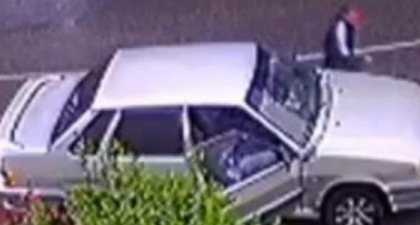 В Новороссийске «нищий» романтик обнес клумбу, чтобы подарить букет девушке (видео)