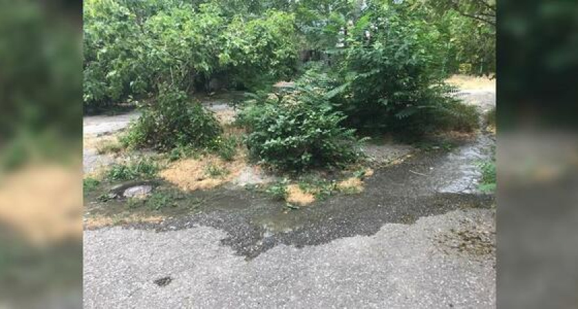 Жители Новороссийска жалуются на зловонные реки по всему городу