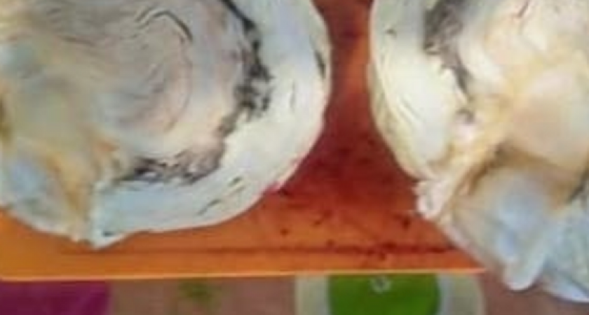 «То ли устрица, то ли шаурма!»: сетевые супермаркеты Новороссийска торгуют гнилой капустой