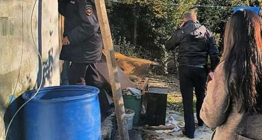 Мать пьет, сын не ходит в школу, дочка – в детский сад: в Новороссийске изъяли детей из неблагополучной семьи