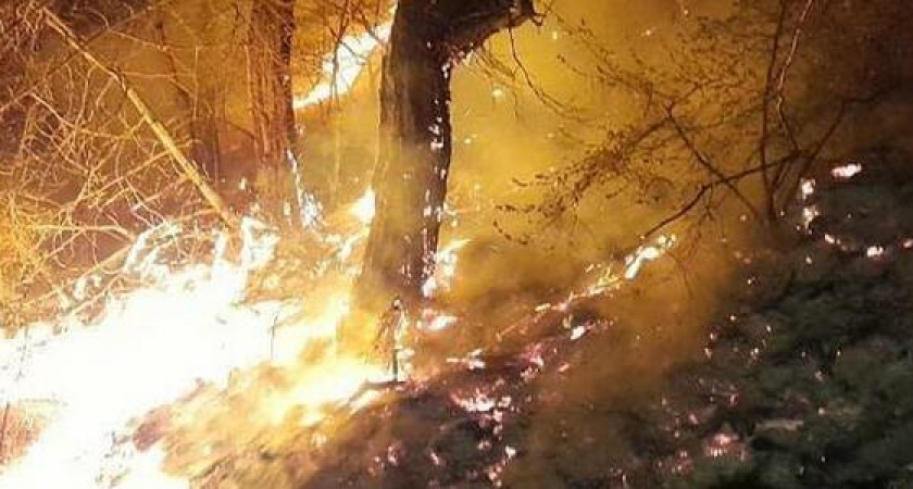 «С нами уже девушки тушат пожары!» В Новороссийске на горе Колдун огонь уничтожил гектар леса