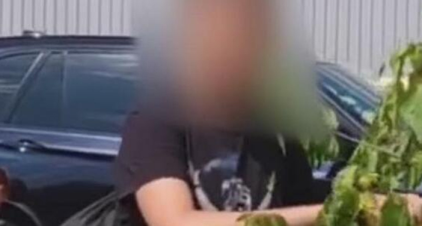 Новый тренд из Тик-Тока: в Новороссийске подростки снимают колпачки с колес автомобилей