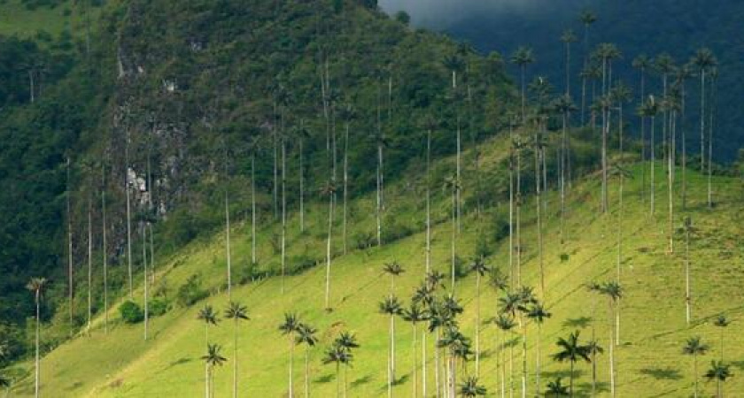 Самая необычная страна куда переезжают люди НА ПМЖ!