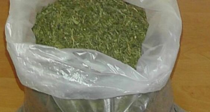 В доме у жителя Новороссийска обнаружили более двух килограммов конопли