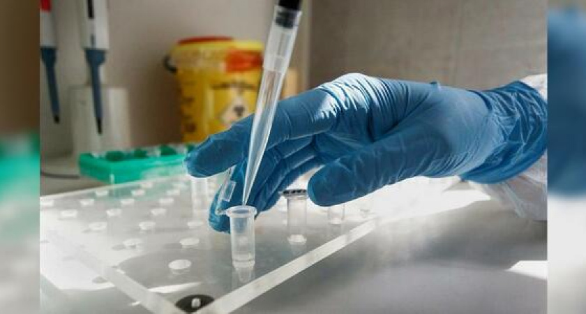 В Краснодарском крае выявлено 82 новых случаев коронавируса, два из них – в Новороссийске