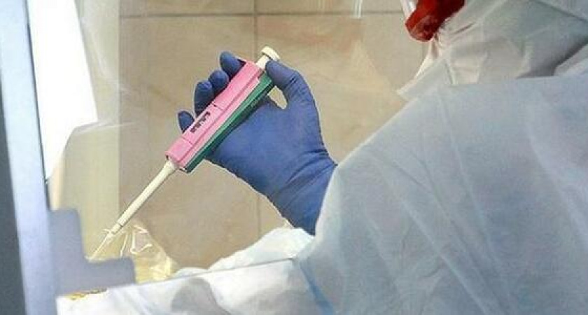 В Новороссийске за последние сутки 3 человека заболели коронавирусом