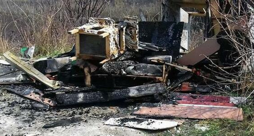 В Новороссийске рядом с пляжем Алексино спалили конуру для бездомных котов