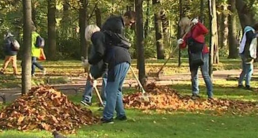 В Новороссийске к операции «Бескозырка» скосят траву и уберут листья с зеленых зон