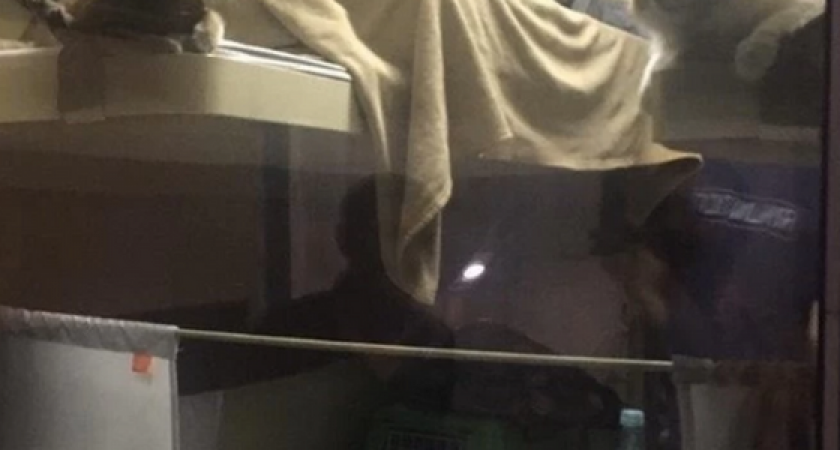 Котокупе: в поезде «Москва – Анапа» пассажир выкупил все купе для своих котов