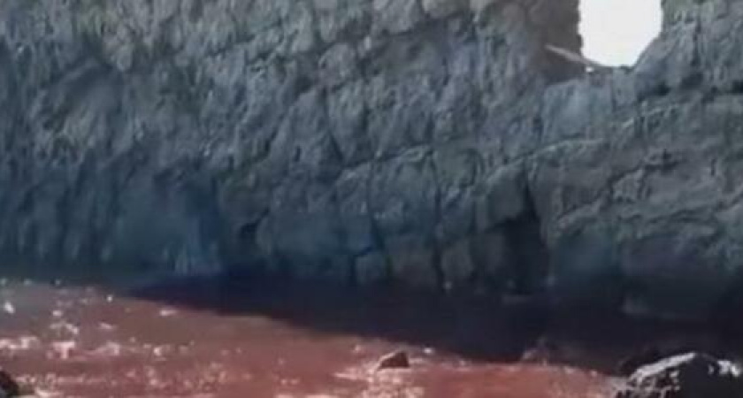 Море цвета крови: под Геленджиком в районе скалы Парус вода окрасилась в красный цвет
