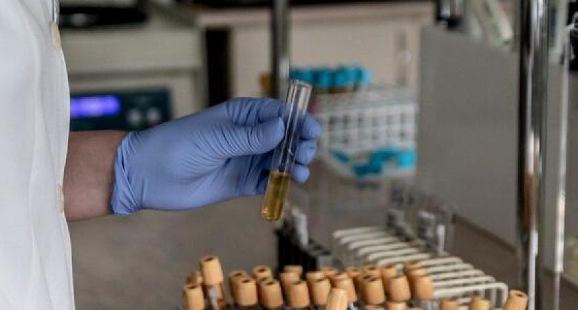 За сутки в Новороссийске еще два человека заразились коронавирусом