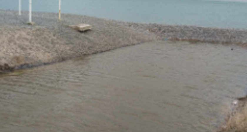 Мусор, мертвые птицы и налухо закрытый проран: памятник природы «Суджукская лагуна» стал похож на чумное болото (фото)