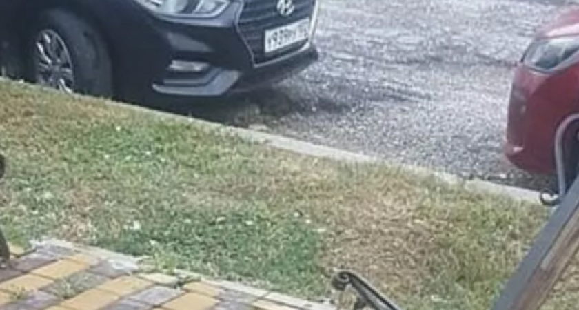 «Вырвали с корнем»: в одном из скверов Новороссийска вандалы сломали скамейку