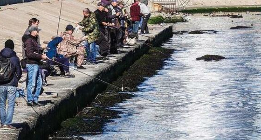 Рыбаки штурмуют пляжи: в Новороссийске пошла кефаль и ставрида