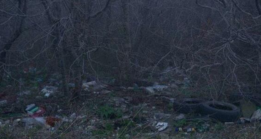 Лес превратился в помойку: новороссийцев приглашают на уборку в район Мефодиевского перевала