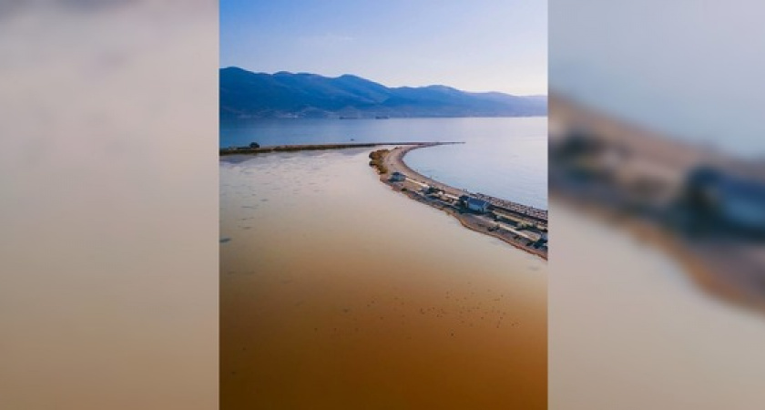 "Бедные птицы!!!": жители Новороссийска сняли на видео замусоренный лиман на Суджукской косе