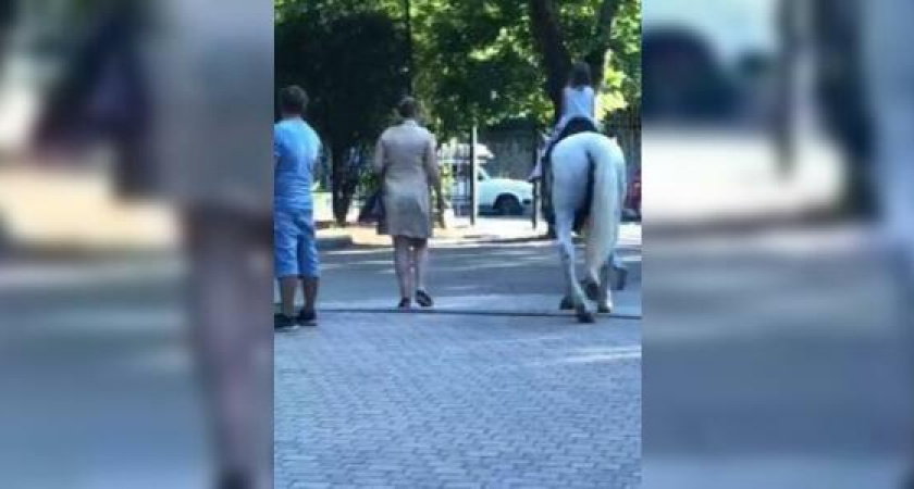 «Хромает, но работает». Жители Новороссийска заметили в парке больную лошадь, на которой катают детей