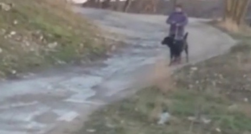 В Новороссийске русло речки засыпали мусором, но вода нашла выход и потекла по дороге. Видео жителей