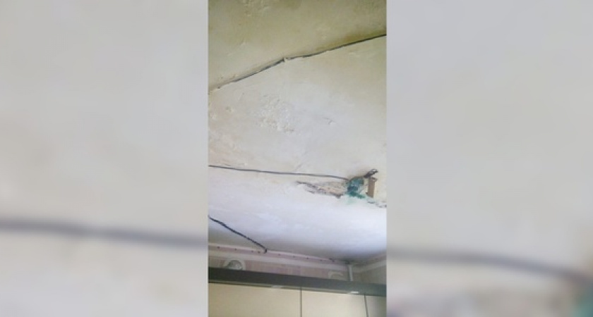 «Соседи держат огромную собаку взаперти, она ходит в туалет прямо на пол»: в Новороссийске  квартиру снизу затопило собачьей мочой