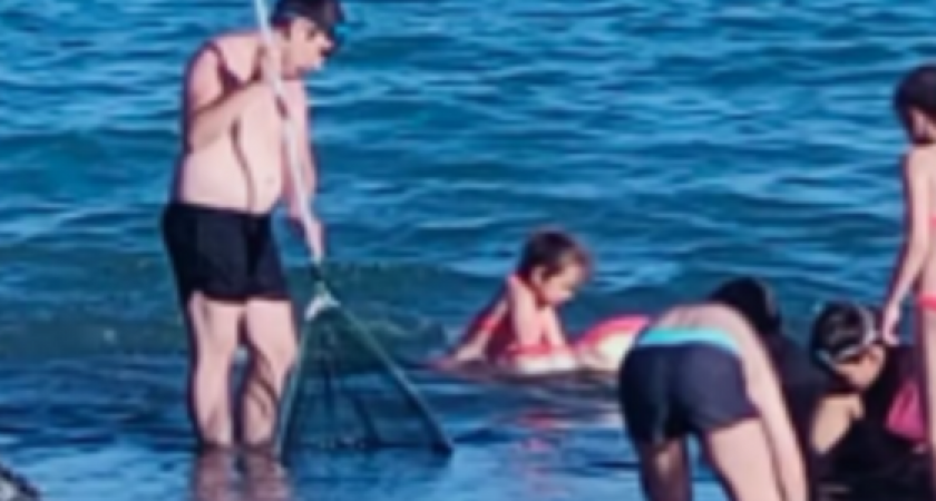 "Не губите рыбьих детей!": в Новороссийске в проране Суджукской лагуны дети и взрослые ради потехи ежедневно убивают сотни мальков