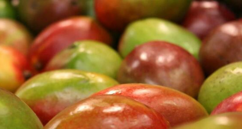 Жители Новороссийска назвали лохотроном продажу манго после ДТП