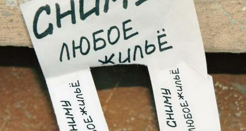 Жительница Новороссийска сдала квартиру и осталась без бытовой техники