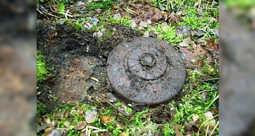 Эхо войны: в лесу под Новороссийском нашли два артиллеристских снаряда и минометную мину