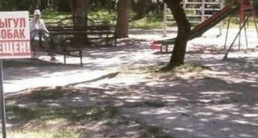 «Это не работает»: эко-блогер из Новороссийска выступила против запрета на выгул собак в Пионерской роще