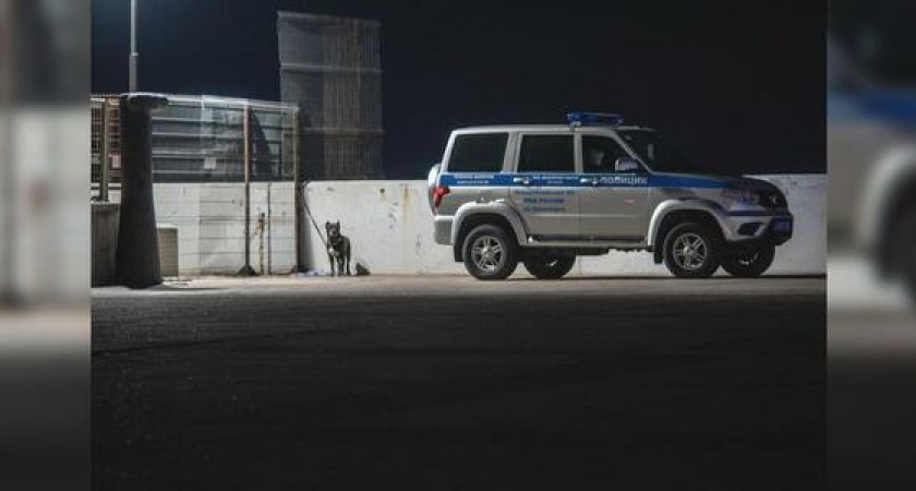Проход на Центральный мол на набережной Новороссийска охраняют полицейские с собакой