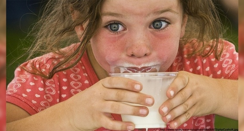 95 фальсифицированных молочных продуктов съели школы и больницы Новороссийска и края