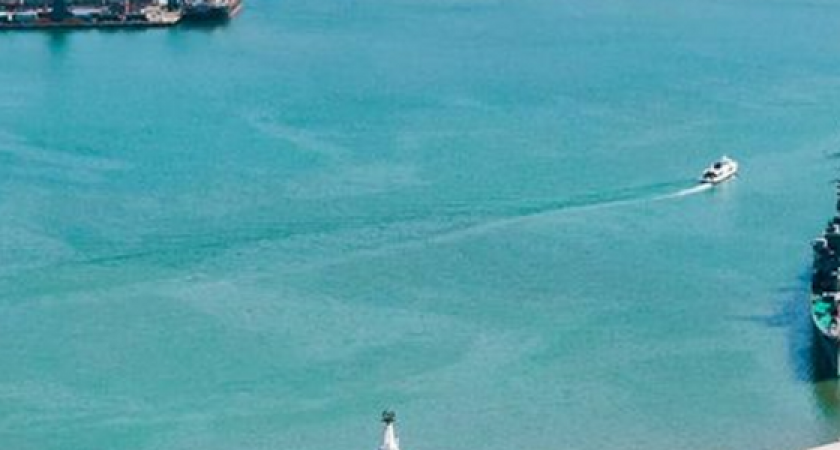 Роспотребнадзор запретил жителям и гостям Новороссийска купаться в море