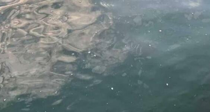 «Смола или химия какая-то...»: новороссийцы обнаружили маслянистые разводы в море на городском пляже