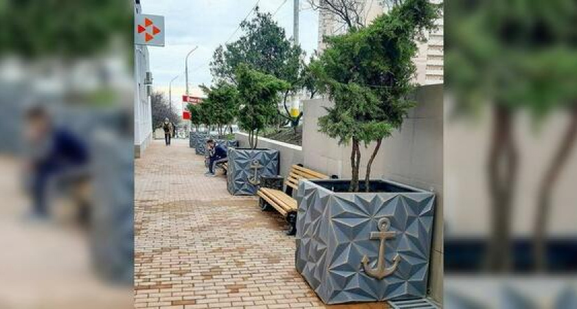 У центра занятости в Новороссийске высадили можжевельник в «фирменные» вазоны